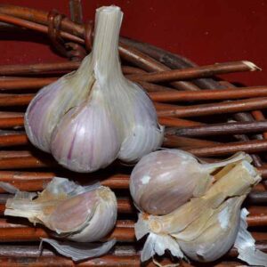 Certified Organic Asiatic Garlic