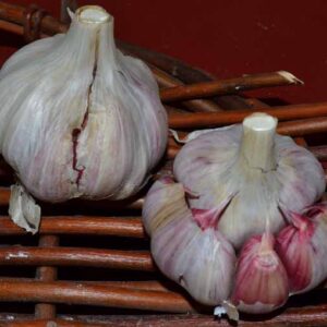 Certified Organic Creole Garlic
