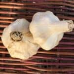 Inchelium Red Artichoke Certified Organic Garlic 2