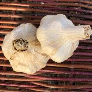 Certified Organic Softneck Garlic Varieties