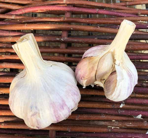 Khabar Marbled Certified Organic Garlic 1