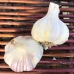 Kishlyk Certified Organic Garlic 2