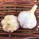 Whistling Duck Marbled Certified Organic Garlic 2