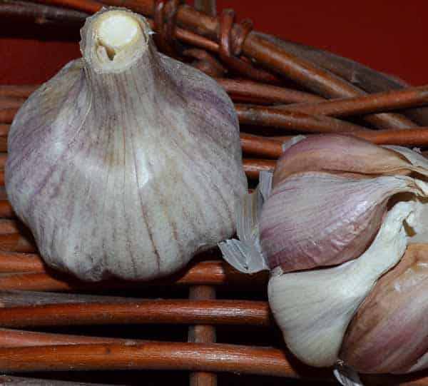 Pyongyang Asiatic Certified Organic Garlic 1
