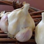 Silver Rose Certified Organic Garlic 2