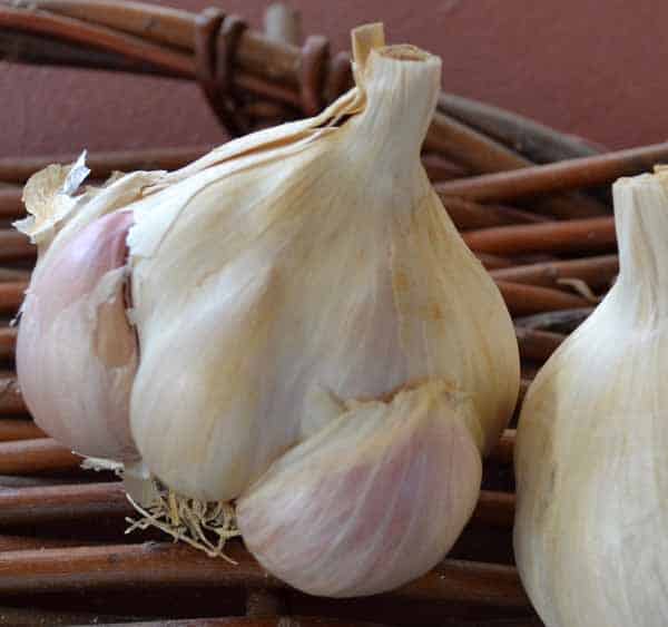 Silver Rose Certified Organic Garlic 1