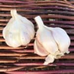 Whistling Duck Certified Organic Silverskin Garlic 2