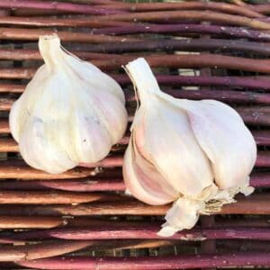 Certified Organic Silverskin Garlic