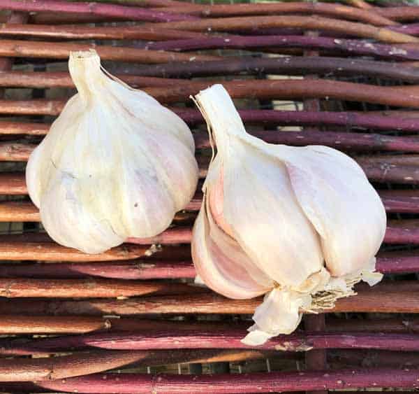 Whistling Duck Certified Organic Silverskin Garlic 1