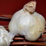 White Turban Certified Organic Garlic 2