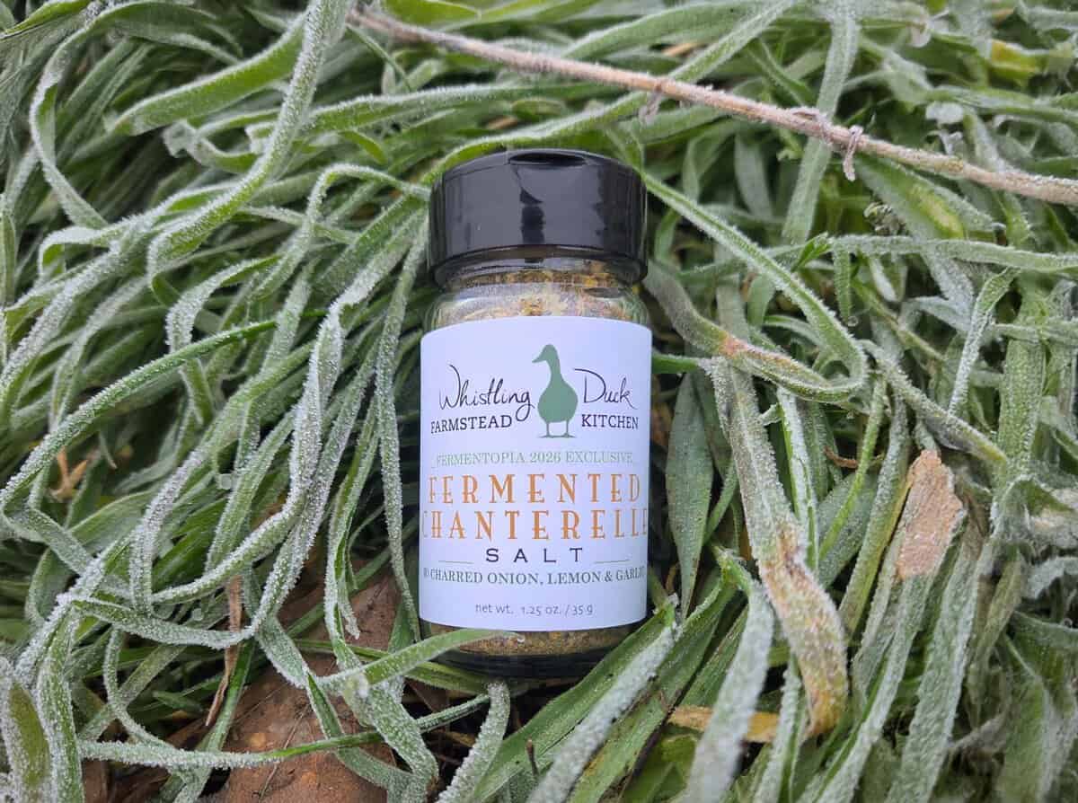 Come get your Ferment on! 1